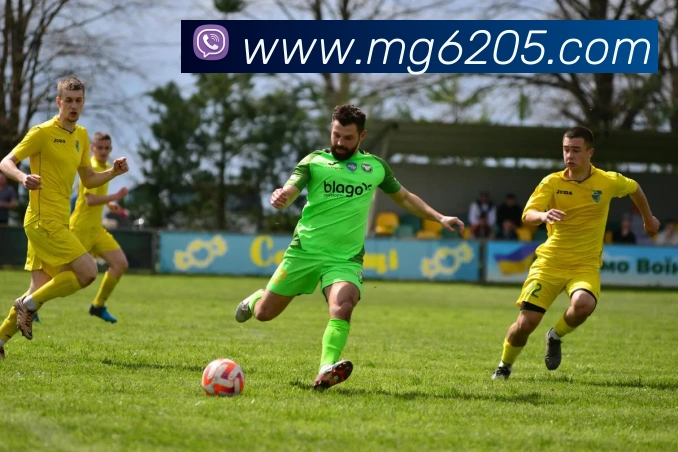 MG娱乐平台官网平台生态图