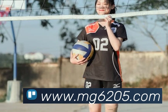 MG娱乐平台官网APP 封面图